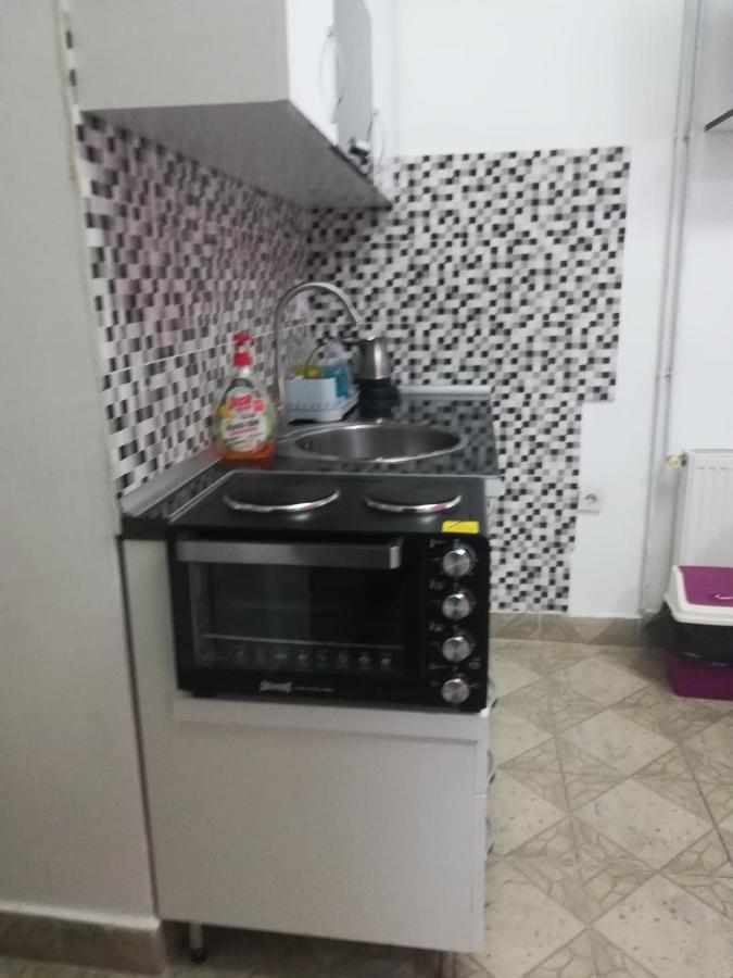Apartman Jasna, Пирот Экстерьер фото